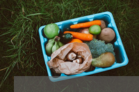 运输性包装(常用的保护电气有那些?常用的低压开关电气有哪些?常用成套低压电气设备有哪些?各有什么用途)